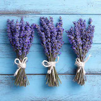 plat24941_three_bunches_of_lavender_on_a_blue_wooden_background_40199f8e-3d84-4bf0-8550-e578de18203c 1.jpg